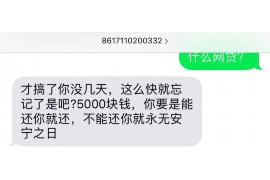 嘉善企业清欠服务